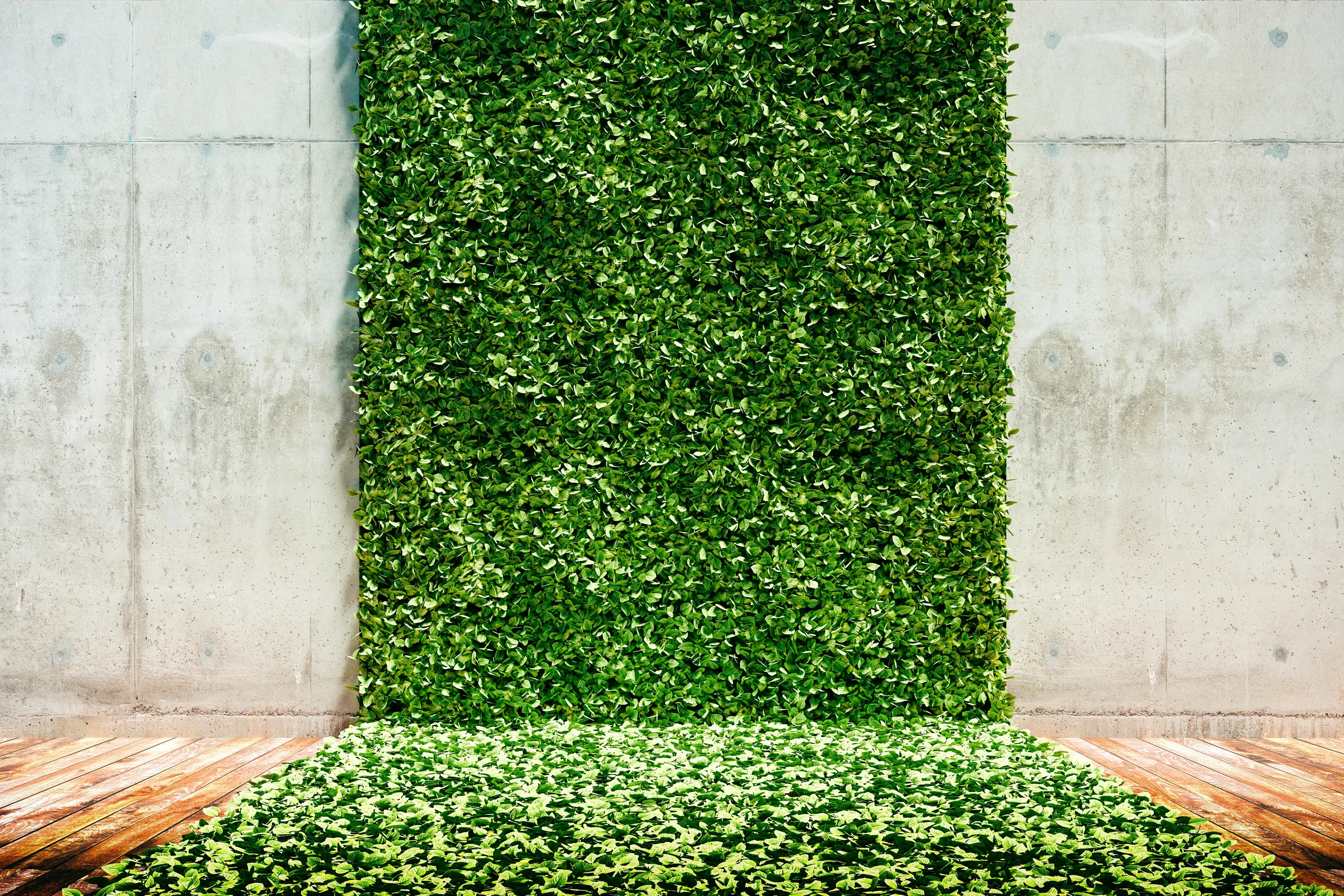 Muro verde de plantas sobre una fachada de hormigón