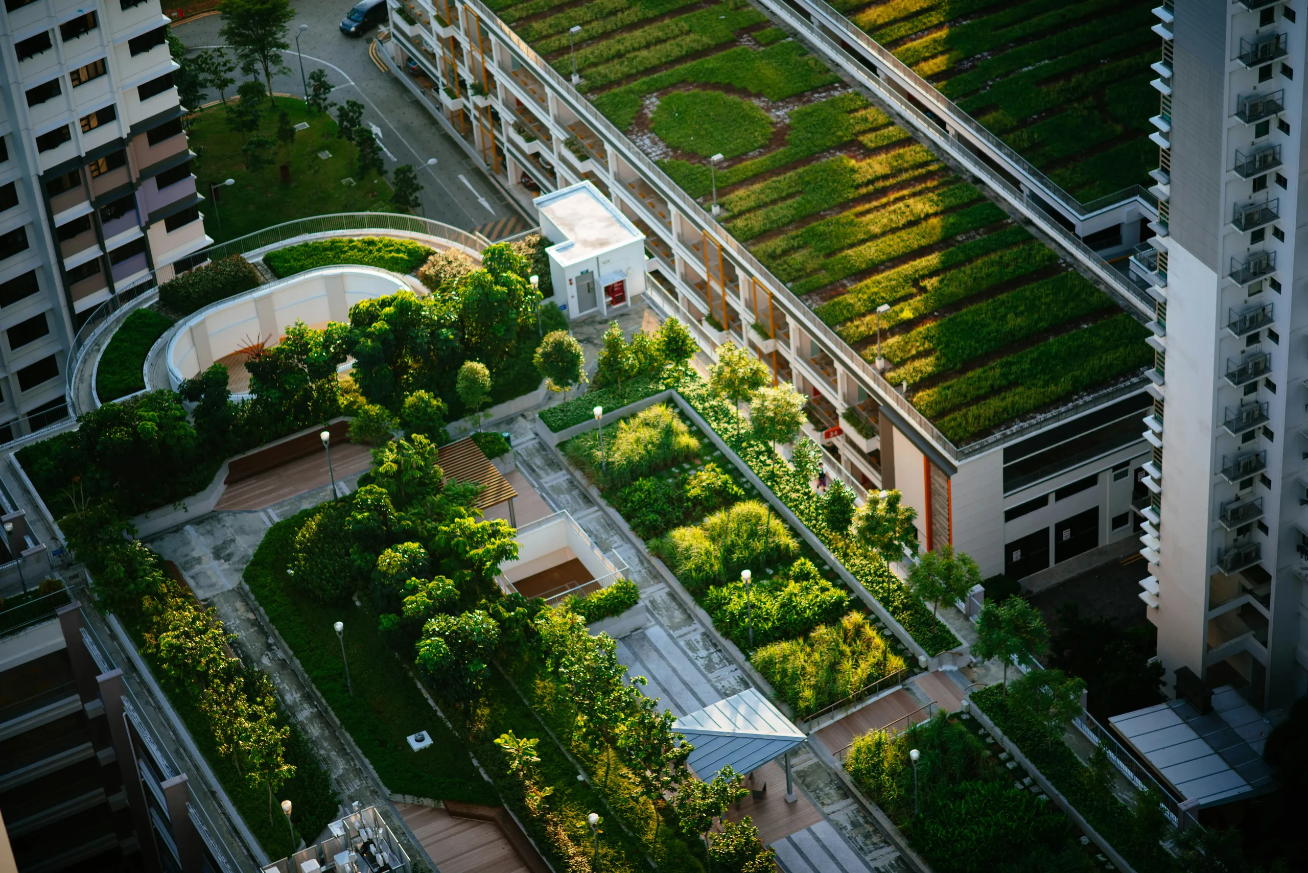 Cubierta verde con jardín sobre un edificio residencial