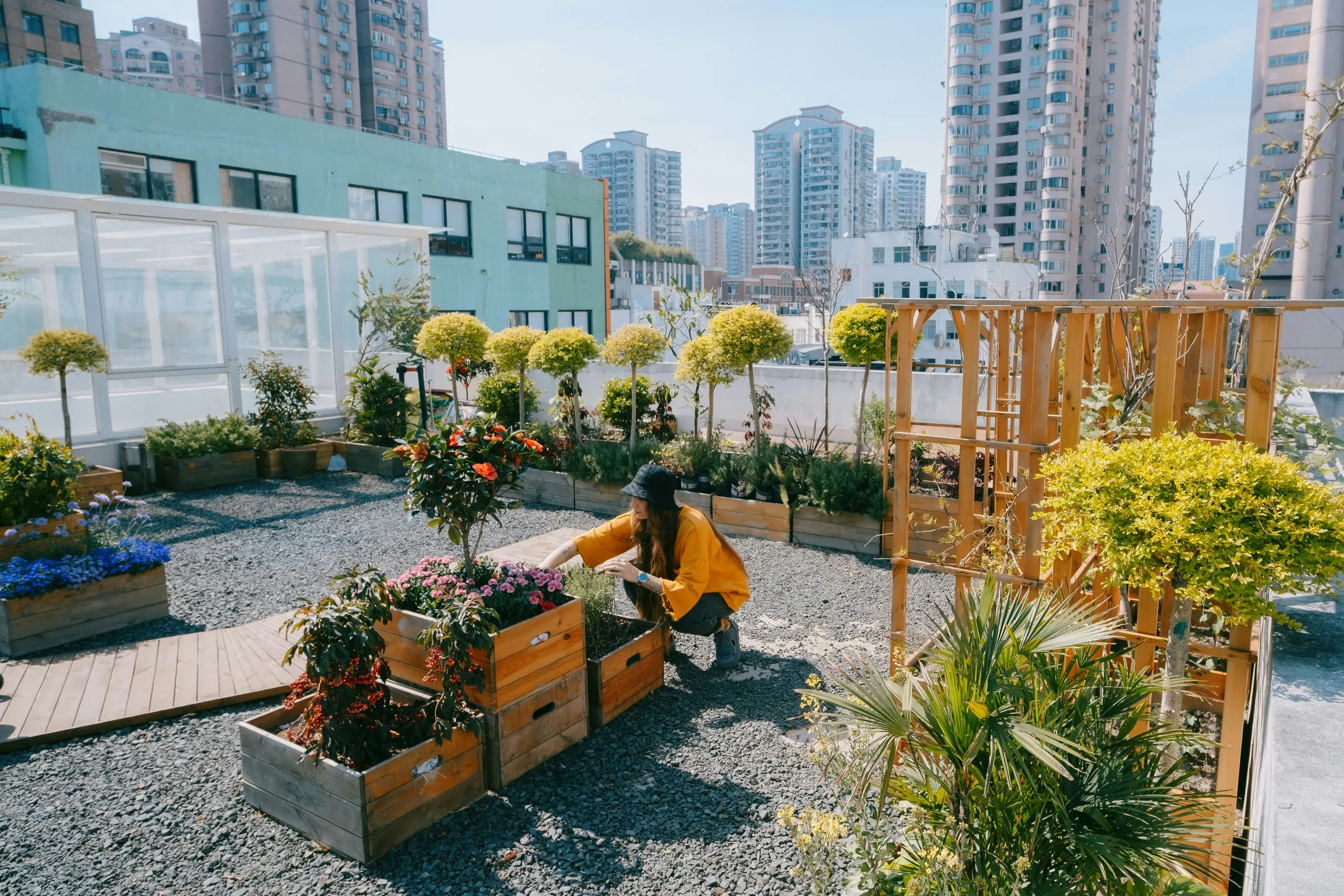 Jardín de lluvia en el espacio urbano