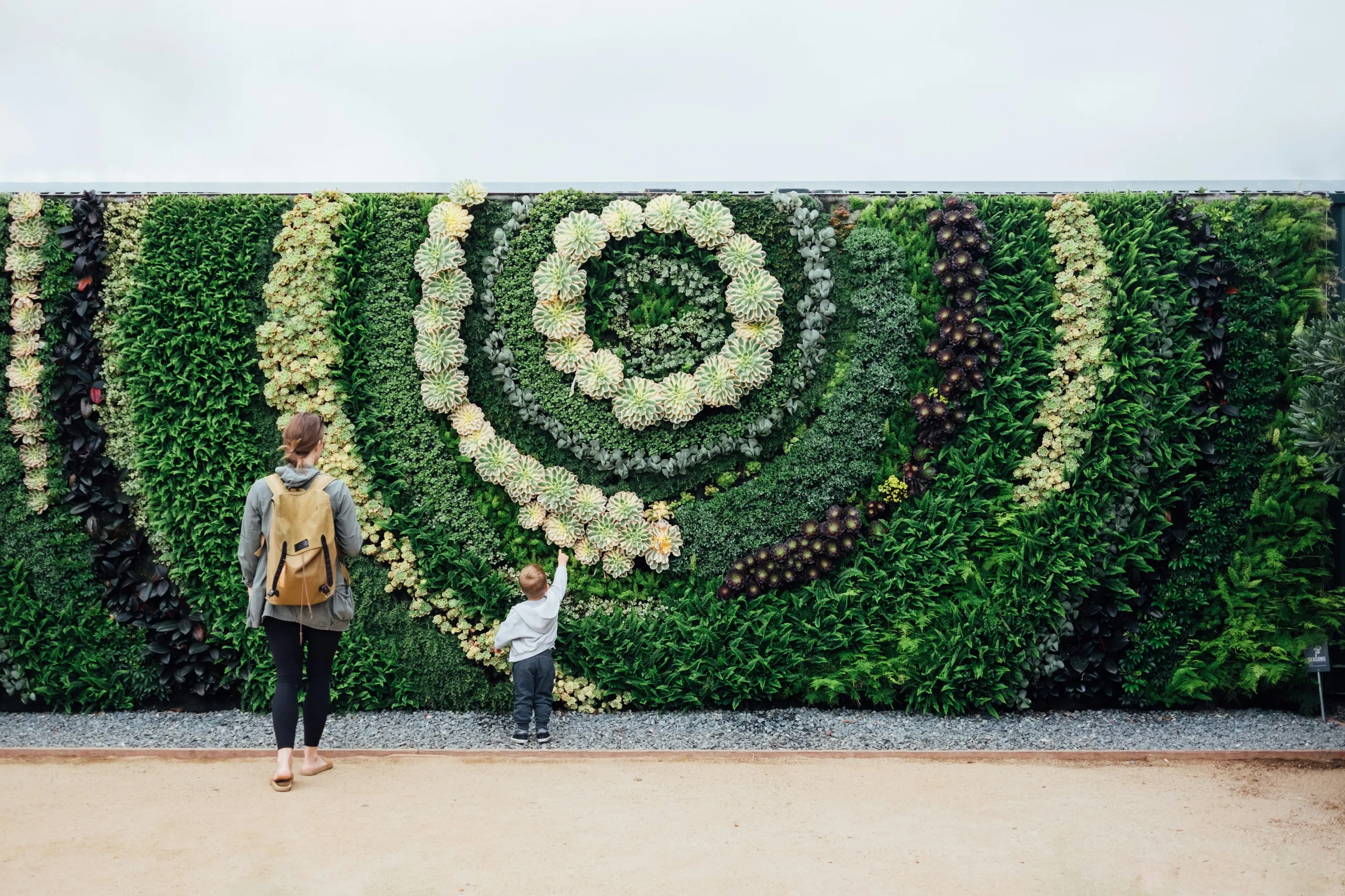 Amplio muro verde con un patrón en espiral de plantas