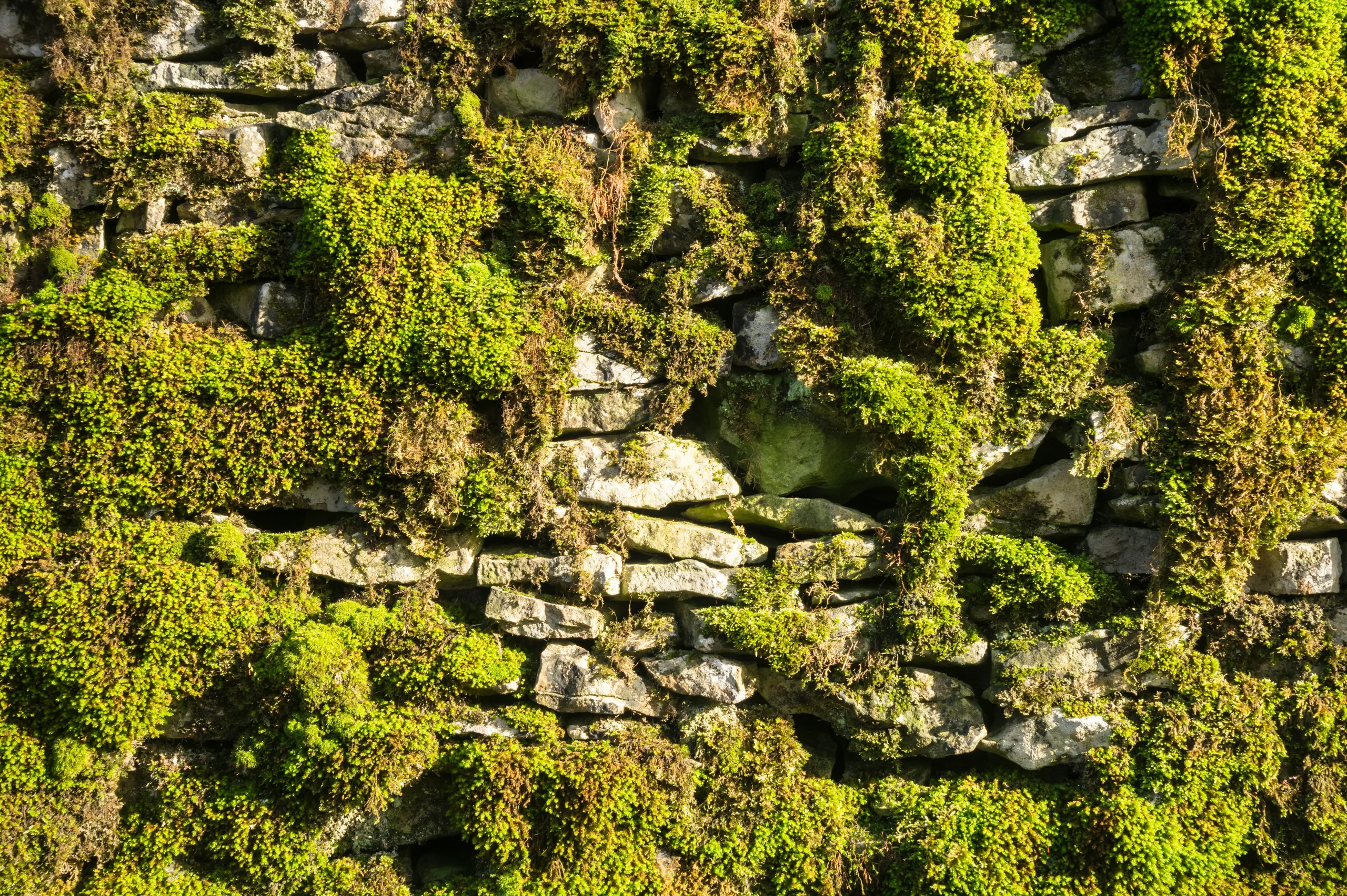 Cubierta verde con jardín sobre un edificio residencial