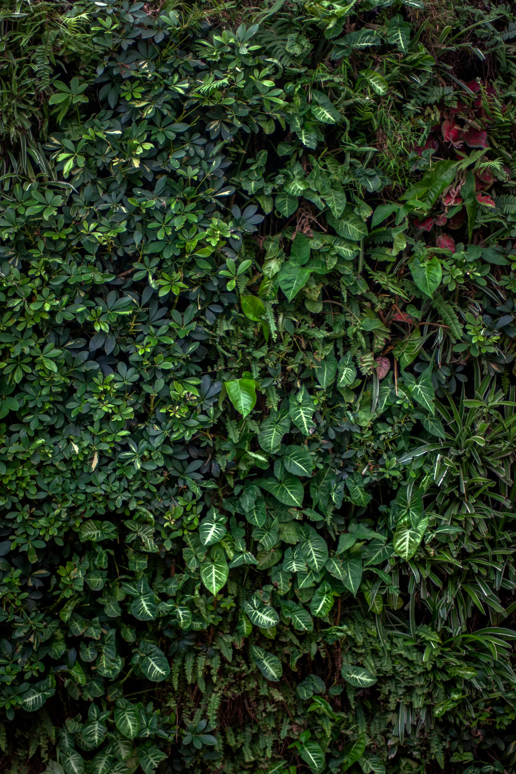 Paisaje urbano sostenible con vegetación