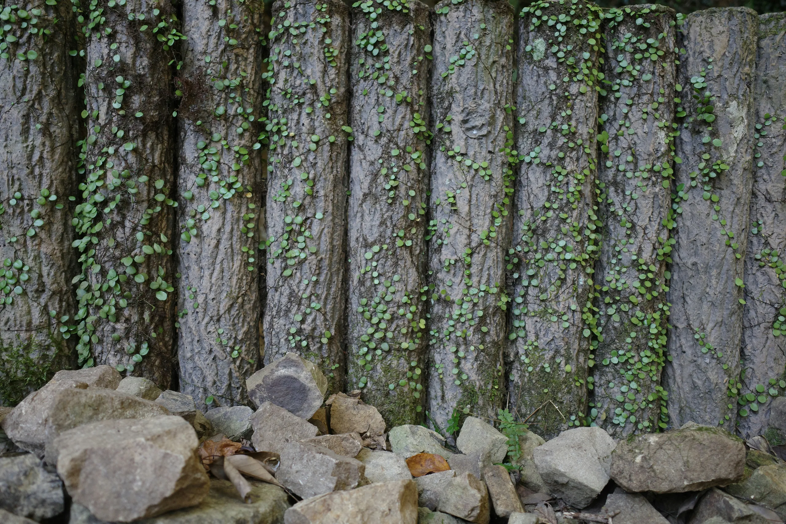Vegetación en la cubierta de un moderno edificio de oficinas